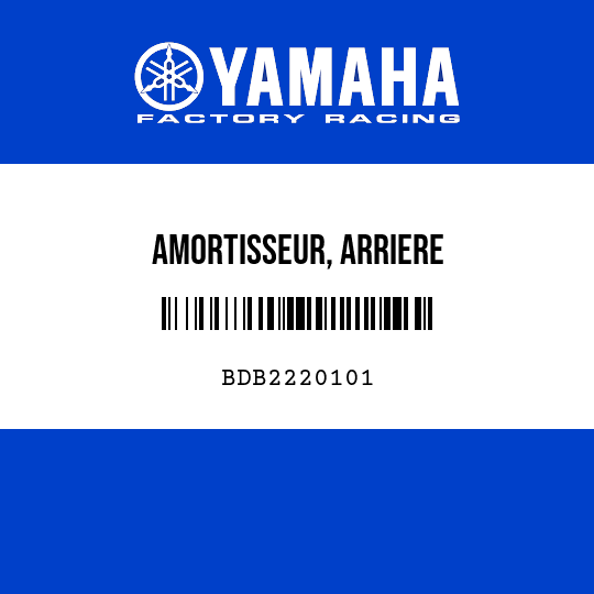 AMORTISSEUR, ARRIERE