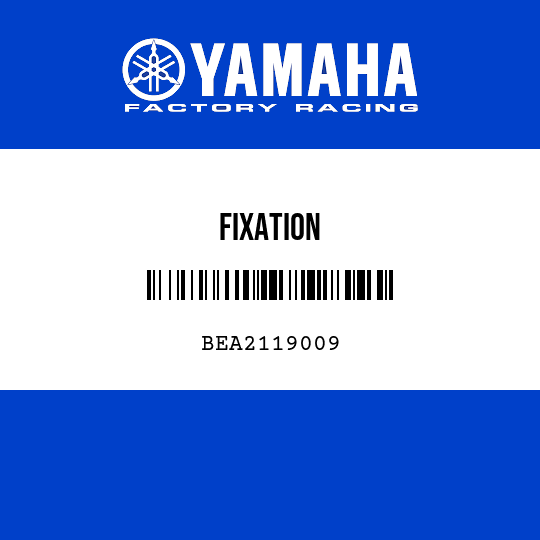 FIXATION