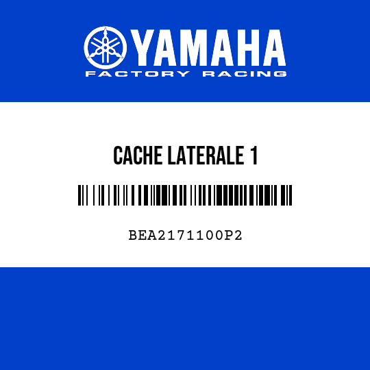 CACHE LATERALE 1