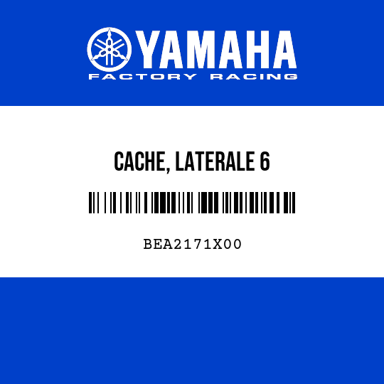 CACHE, LATERALE 6
