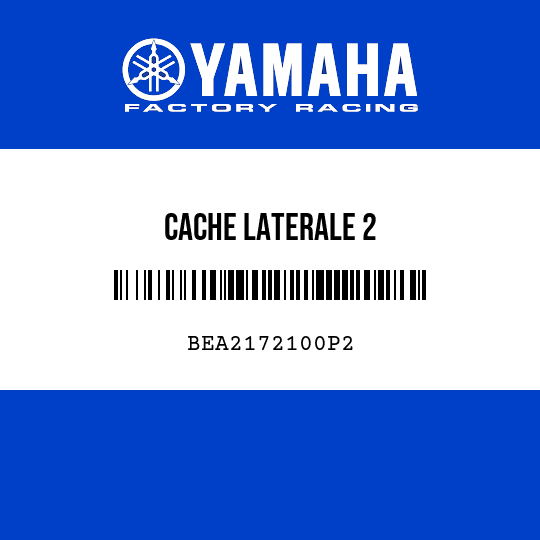CACHE LATERALE 2