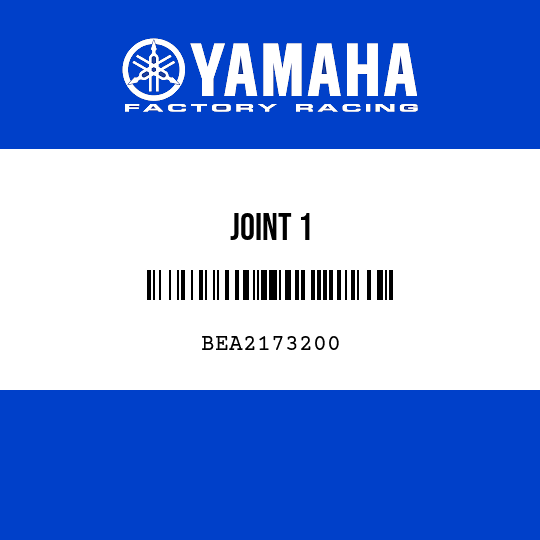 JOINT 1
