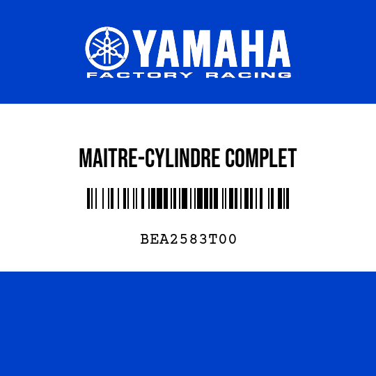 MAITRE-CYLINDRE COMPLET