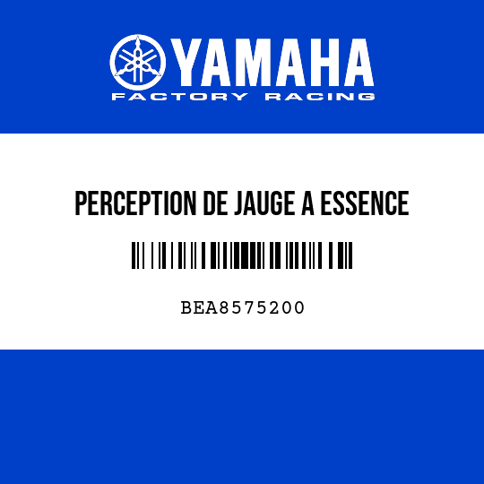 PERCEPTION DE JAUGE A ESSENCE