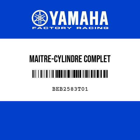 MAITRE-CYLINDRE COMPLET