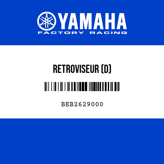 RETROVISEUR (D)