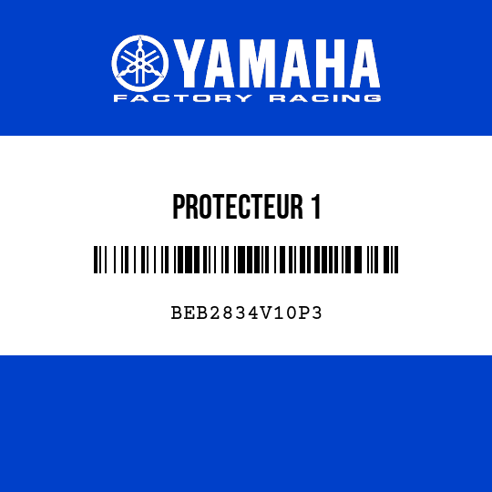 PROTECTEUR 1