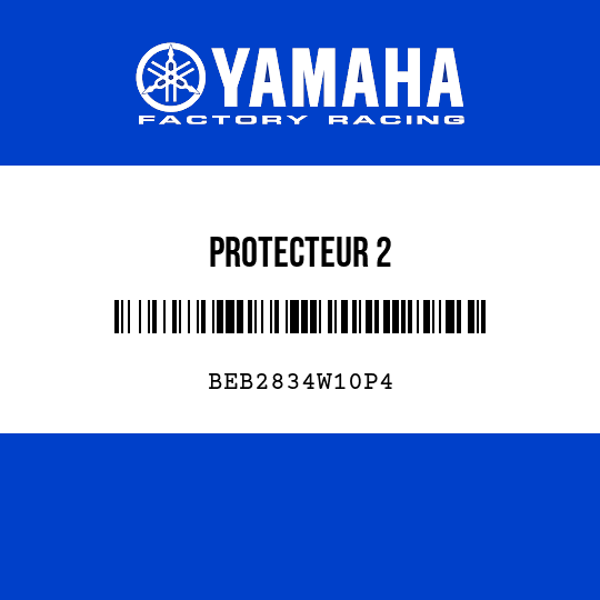 PROTECTEUR 2