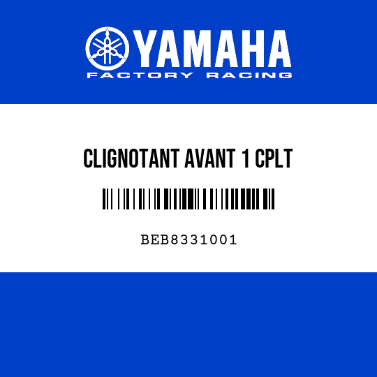 CLIGNOTANT AVANT 1 CPLT