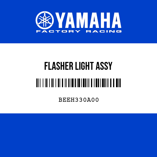FLASHER LIGHT ASSY