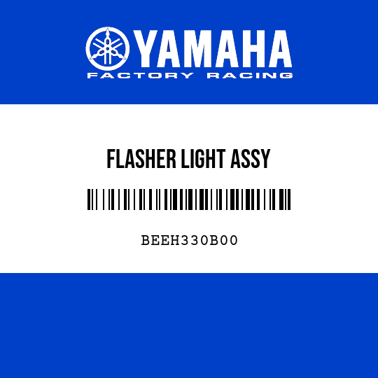 FLASHER LIGHT ASSY