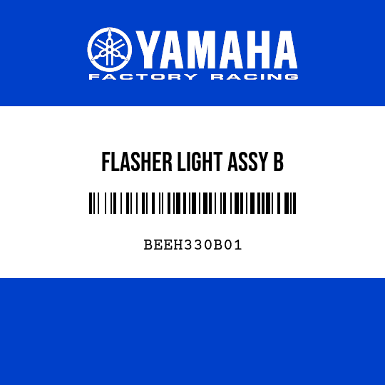 FLASHER LIGHT ASSY B