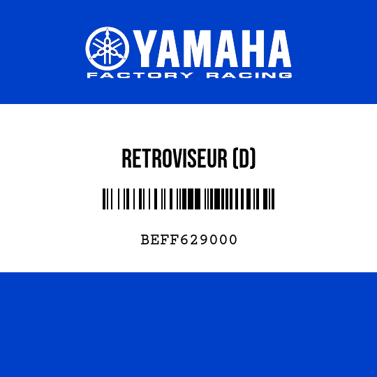 RETROVISEUR (D)
