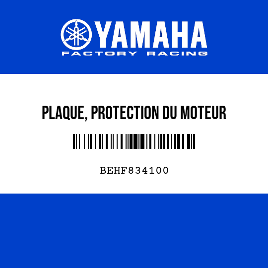 PLAQUE, PROTECTION DU MOTEUR