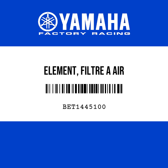 ELEMENT, FILTRE A AIR