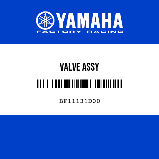 VALVE ASSY