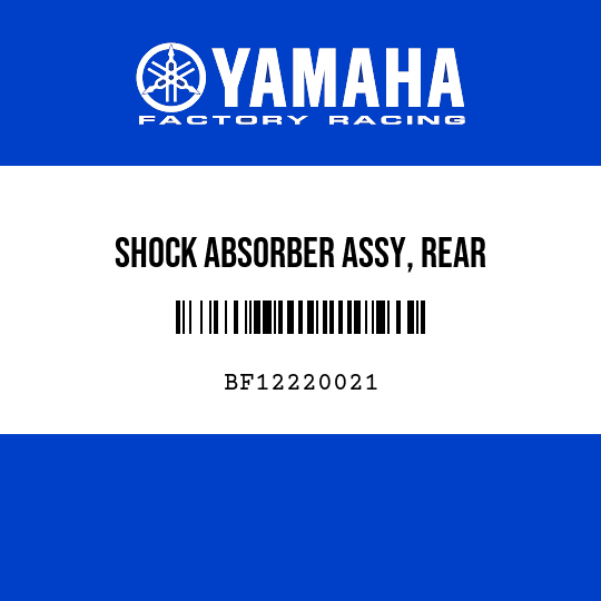 SHOCK ABSORBER ASSY, REAR