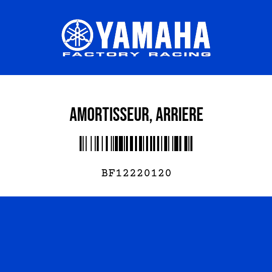 AMORTISSEUR, ARRIERE