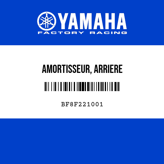 AMORTISSEUR, ARRIERE