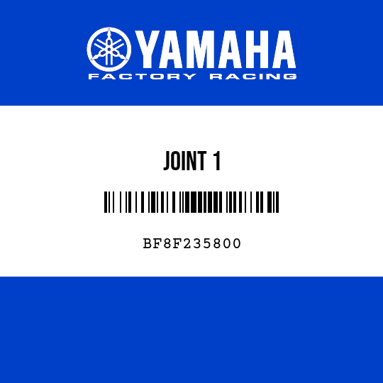 JOINT 1