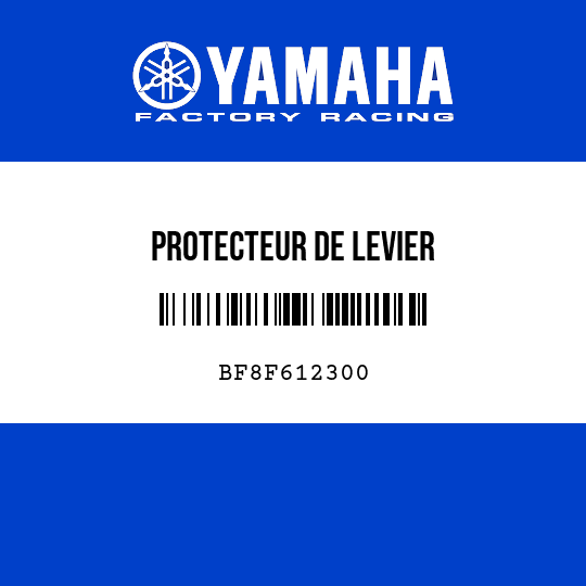 PROTECTEUR DE LEVIER
