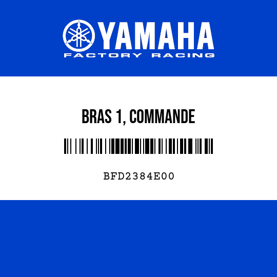 BRAS 1, COMMANDE
