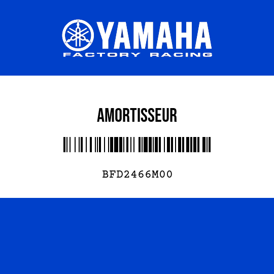AMORTISSEUR