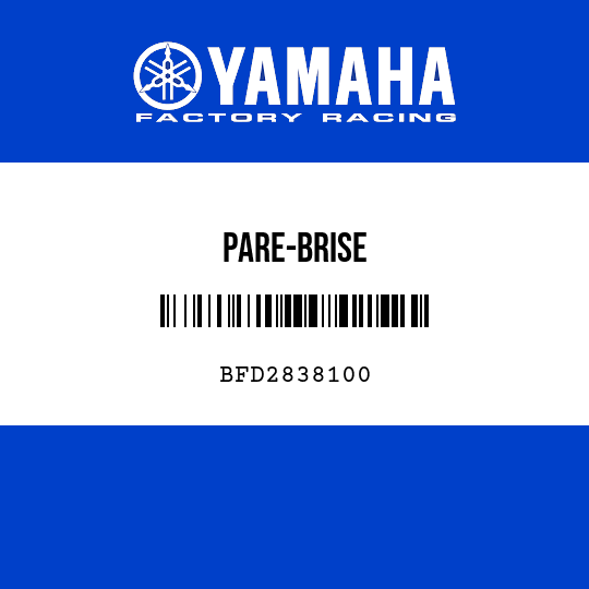 PARE-BRISE
