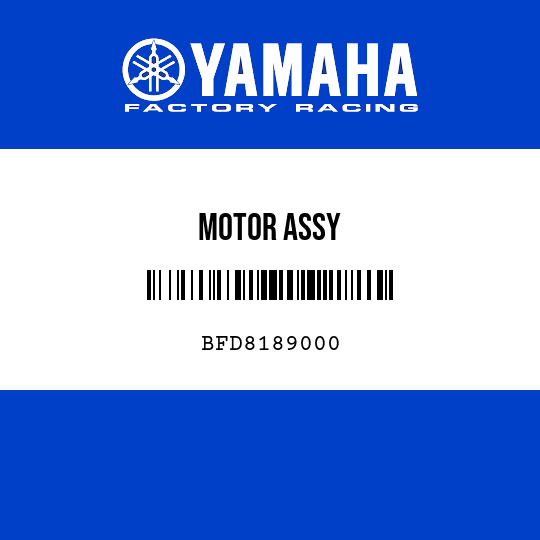 MOTOR ASSY