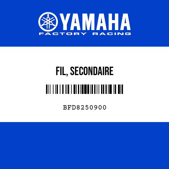 FIL, SECONDAIRE