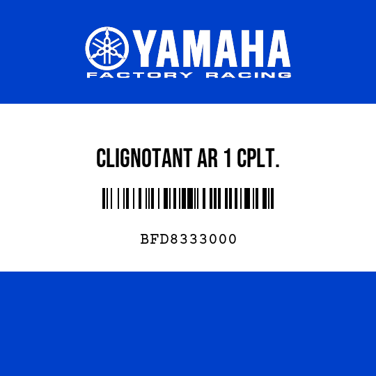 CLIGNOTANT AR 1 CPLT.