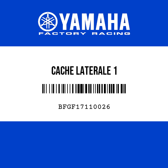 CACHE LATERALE 1