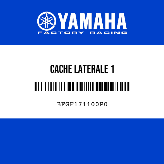 CACHE LATERALE 1