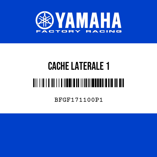 CACHE LATERALE 1