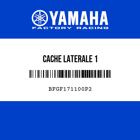 CACHE LATERALE 1