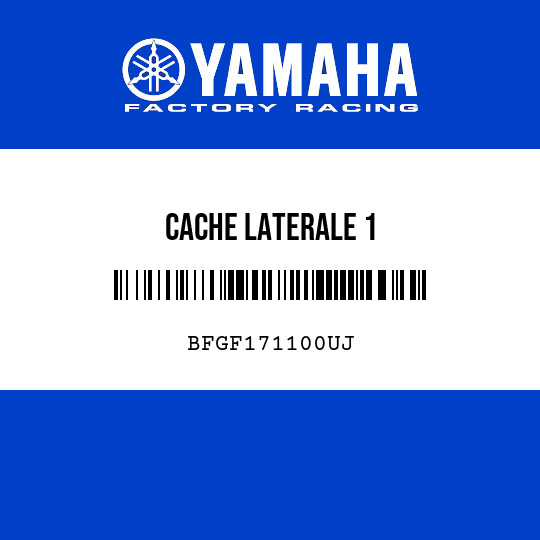 CACHE LATERALE 1