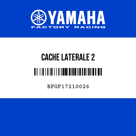 CACHE LATERALE 2