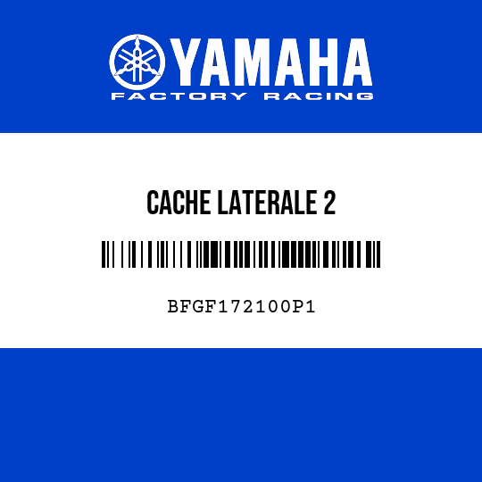 CACHE LATERALE 2