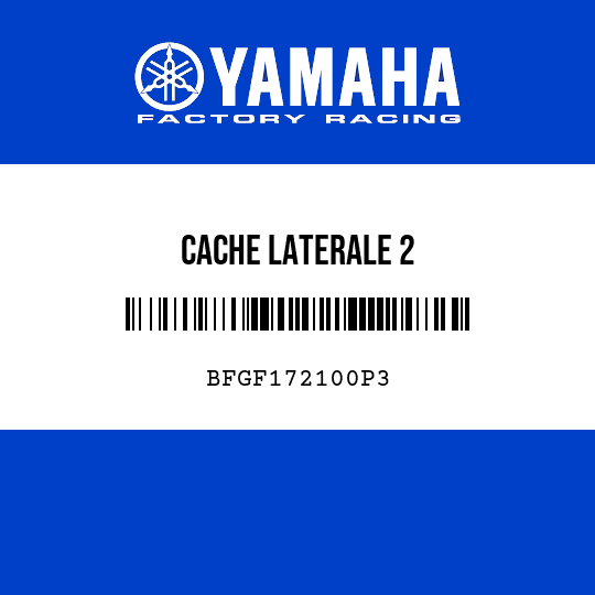 CACHE LATERALE 2