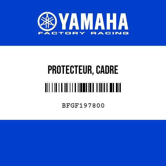 PROTECTEUR, CADRE