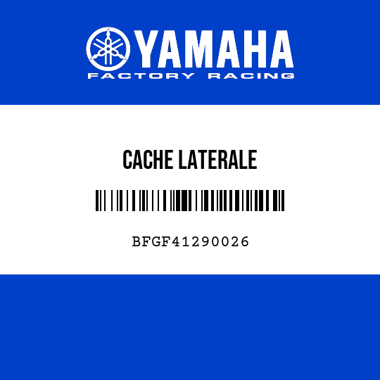 CACHE LATERALE
