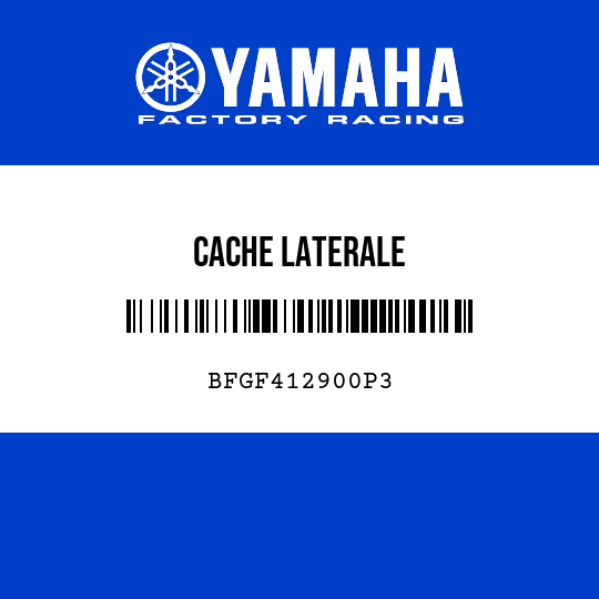 CACHE LATERALE