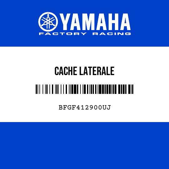 CACHE LATERALE