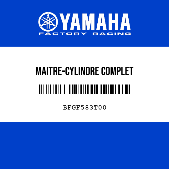 MAITRE-CYLINDRE COMPLET