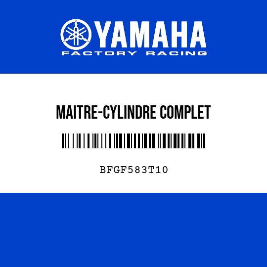MAITRE-CYLINDRE COMPLET