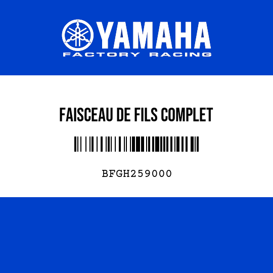 FAISCEAU DE FILS COMPLET