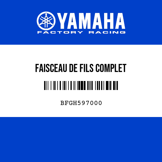 FAISCEAU DE FILS COMPLET