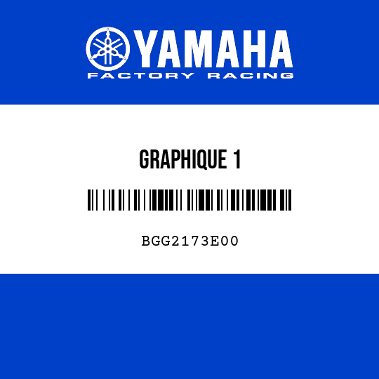 GRAPHIQUE 1