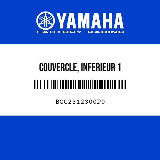 COUVERCLE, INFERIEUR 1