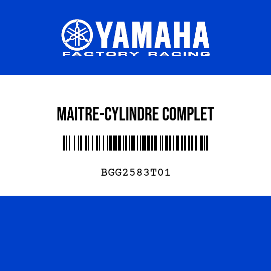 MAITRE-CYLINDRE COMPLET